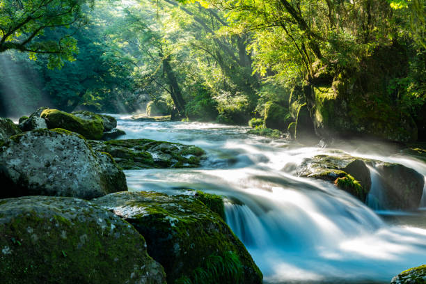 istock Kusasenri, Aso Kumamoto Japan. 1033070624