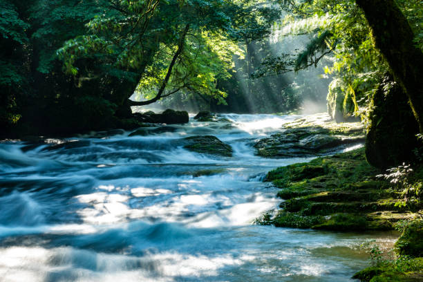 istock Kusasenri, Aso Kumamoto Japan. 1033072690
