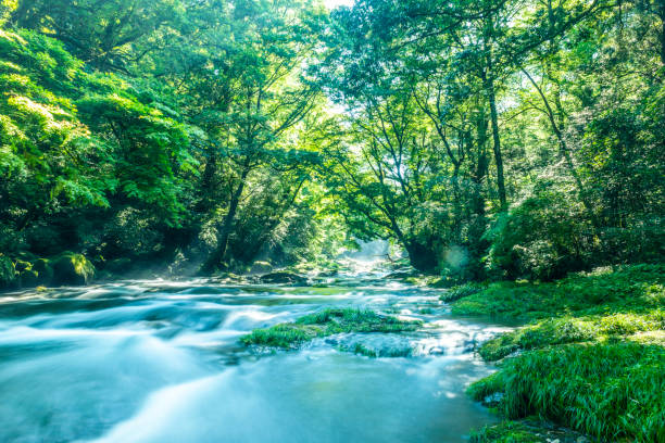 istock Kusasenri, Aso Kumamoto Japan. 1033073020