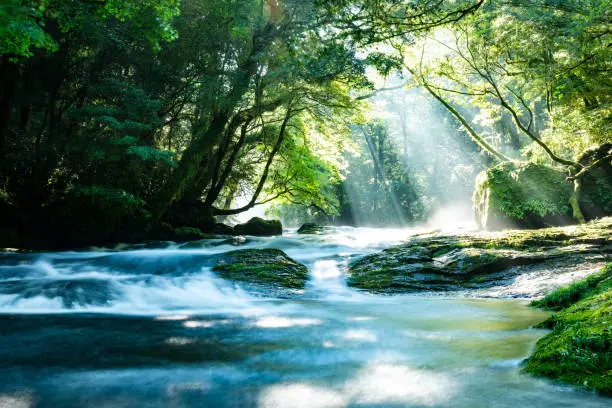 Kikuchi Valley, Kumamoto Japan.Kusasenri, Aso Kumamoto Japan.Kusasenri, Aso Kumamoto Japan.