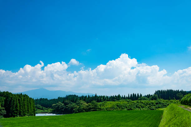 Rural landscape, in Kyushu Japan