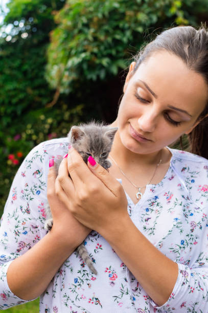 istock Young woman holding little kitty 1033073796