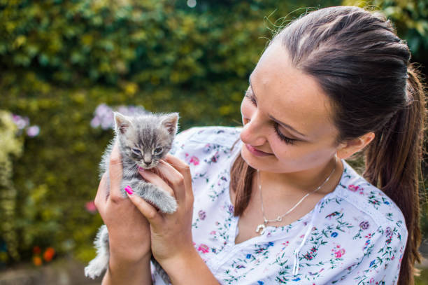 istock Young woman holding little kitty 1033076252