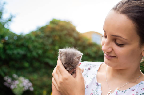 istock Young woman holding little kitty 1033078146