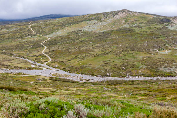 스노위 마운틴의 코시치우슈코 국립 공원 - kosciuszko national park 뉴스 사진 이미지