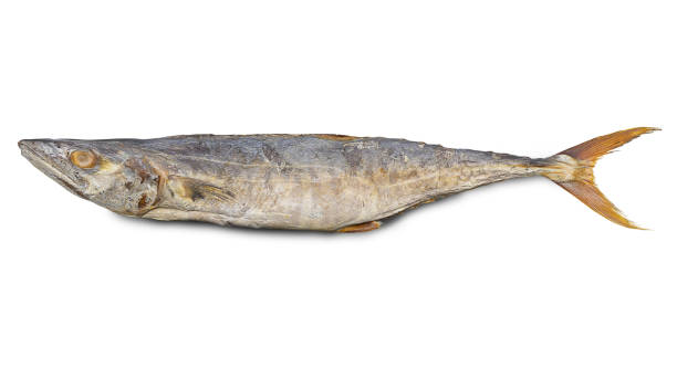 istock Dry fish King mackerel salty. (Clipping path) 1033090580