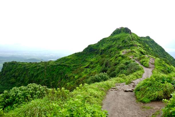 istock Landscape in monsoon season 1033094226