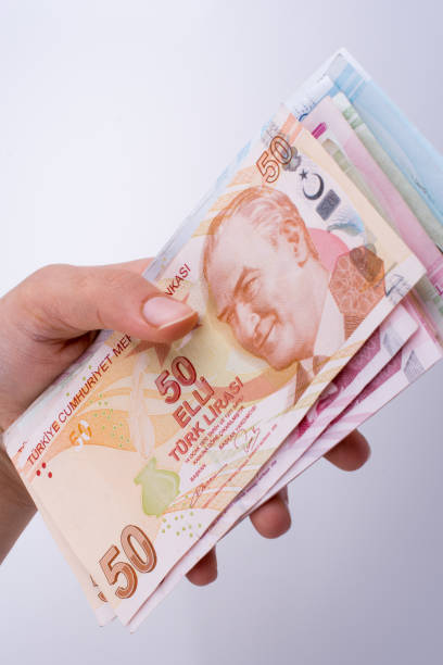 istock Hand holding Turksh Lira banknotes  in hand 1033101576