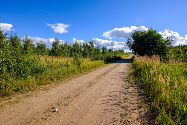 istock simple gravel country road in summer in forest 1033101708