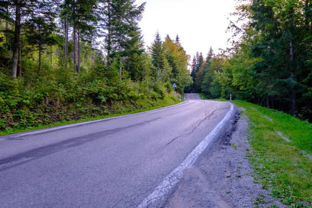 istock asphalted road leading up to the mountains in forest 1033101784