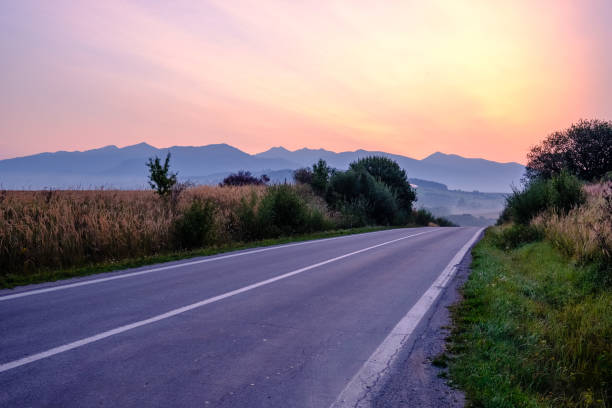 istock asphalted road leading up to the mountains in forest 1033101832