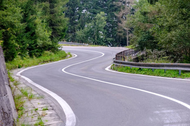 istock asphalted road leading up to the mountains in forest 1033102214