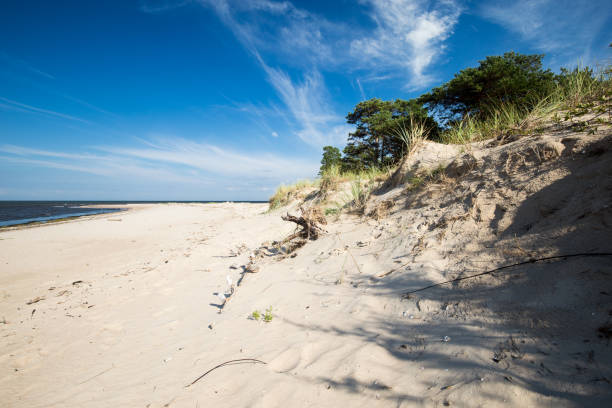 istock Travel to the sea 1033109492