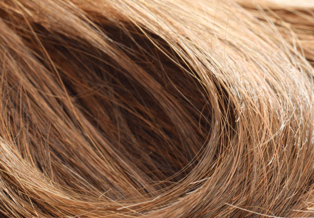 istock Natural brown hair 1033111026