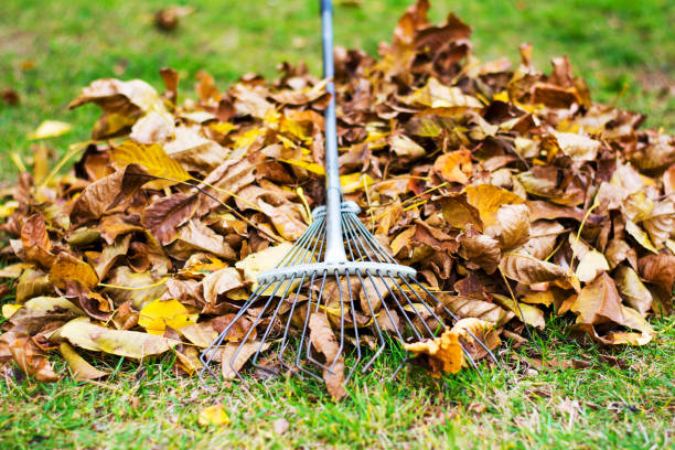istock Pile of fallen leaves with a rake for removal 1033111860