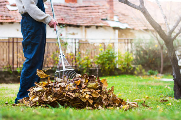 collecte automne tombé l’homme laisse dans l’yard - râteau photos et images de collection