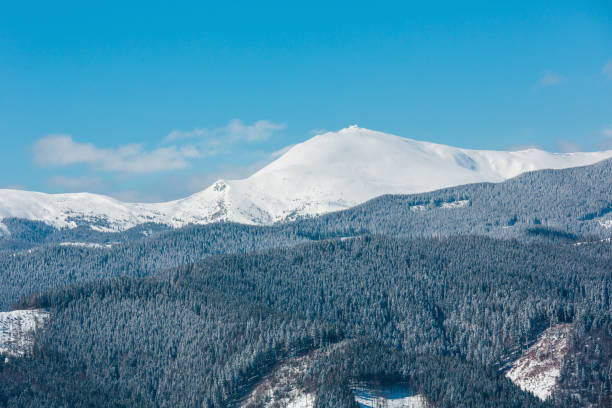 istock Winter snowy Carpathian mountains, Ukraine 1033114590
