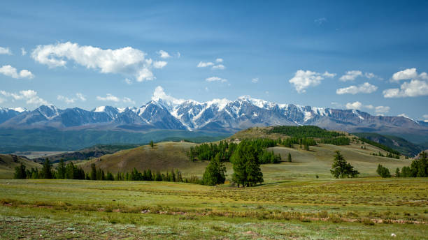 istock A landscape view of beautiful fresh green forest 1033123078