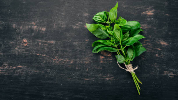 istock Fresh green basil. Top view. On the background. Free space for text. 1033141888