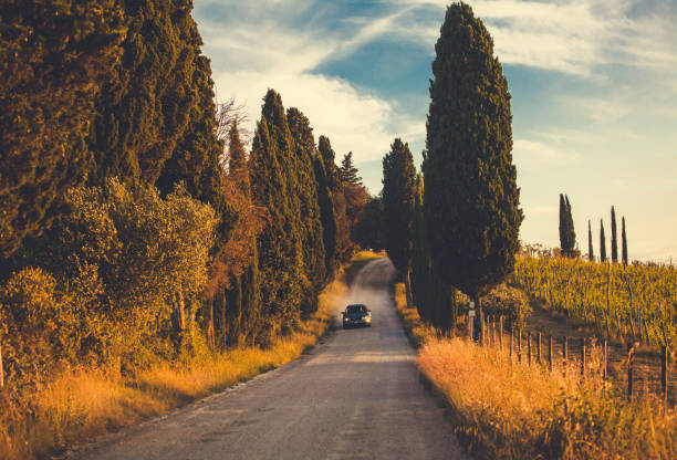 Tuscany, Italy, 17 June 2016: Typical Tuscany road along cypresses and vineyards