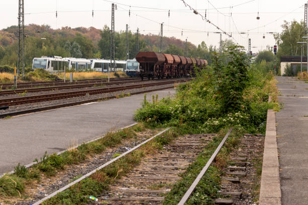 istock overgrown railway track with some standing trains in the background 1033157532