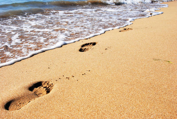 istock Footprints in the sand with a wave at beach 1033160226
