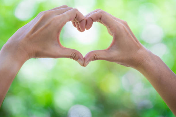 istock Heart-shaped hand On the bokeh background 1033160686