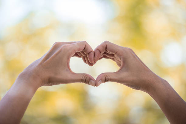 istock Heart-shaped hand On the bokeh background 1033160794