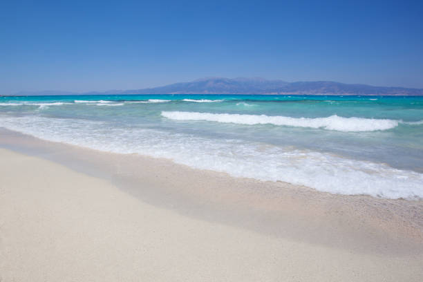 白い砂浜のビーチ、クレタ島、ギリシャの chrissi 島 - chrissy ストックフォトと画像