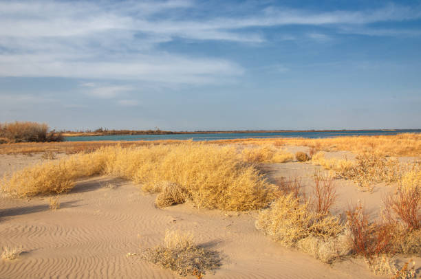 песчаная весенняя степь - 3844 стоковые фото и изображения