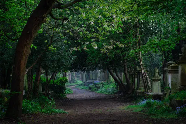 Photo of Highgate cemetery  in London