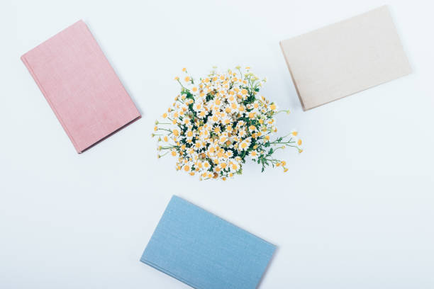 istock Minimal flat lay composition of three books 1033177352