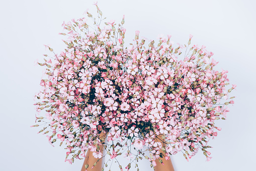 Female's hand holding big lush bouquet of pink gypsophilia flowers on white background, top view. Festive flat lay floral composition.
