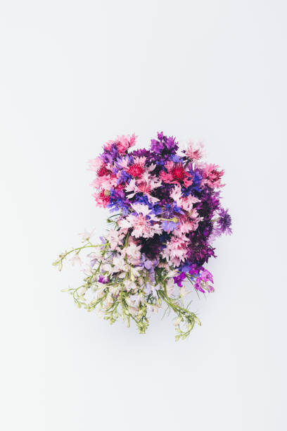 istock Bright bouquet of colorful cornflowers on white table 1033177364