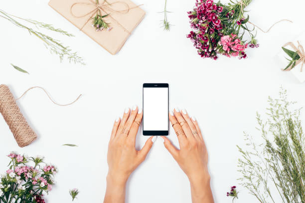 istock Female's hands holding smart phone with empty white screen 1033177366