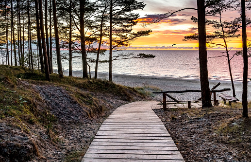 Coastal landscape in Jurmala at dawn, Latvia