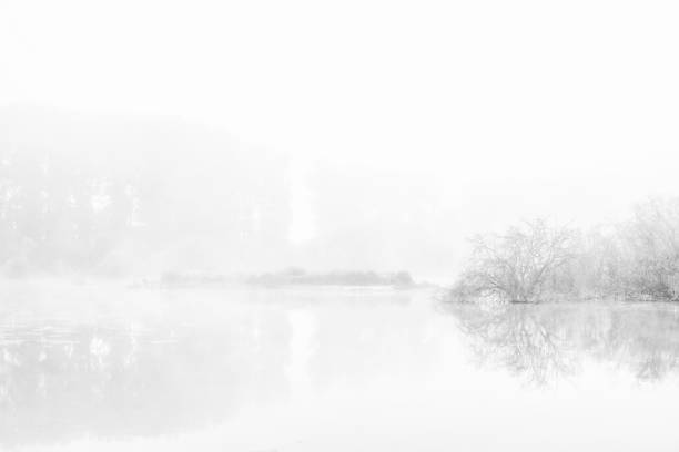 istock Misty landscape on the swamp 1033184532