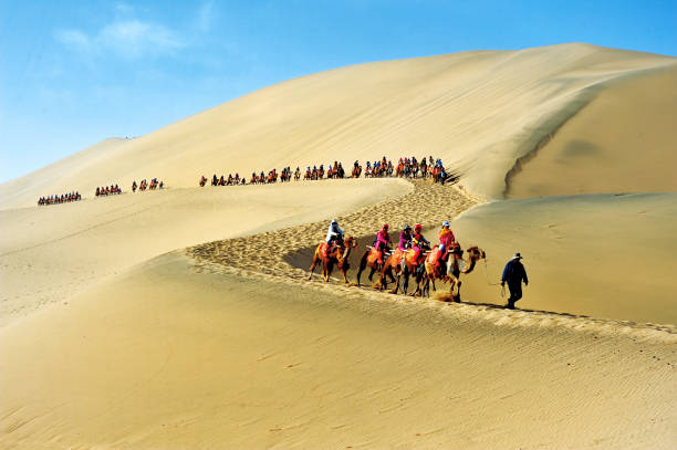 los turistas fueron cabalgando a lomos de camellos con guía en el desierto de soughing dunas (mingshashan). - dunhuang fotografías e imágenes de stock