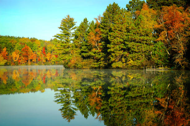 Autumn trees reflection on lakeshore clear lake stock photo