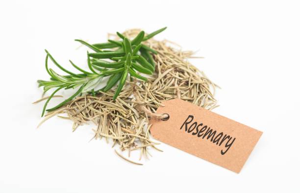 istock Fresh and dried rosemary on white background 1033189888