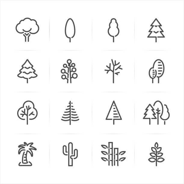 ilustraciones, imágenes clip art, dibujos animados e iconos de stock de iconos de árbol  - tree