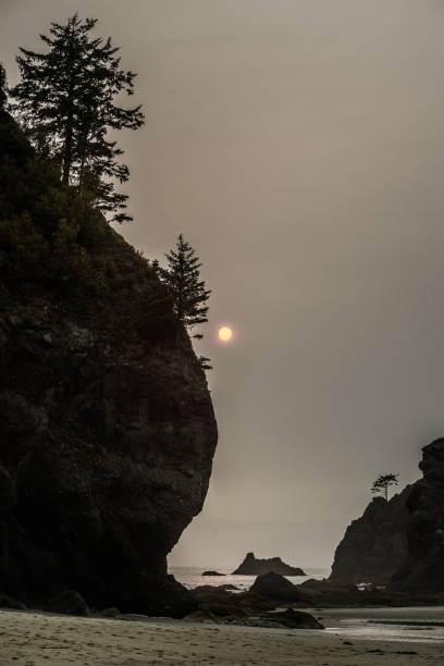 istock Olympic National Park - Shi Shi Beach 1033197648
