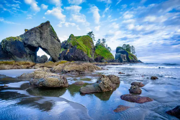 Rugged Beach with rock formations and abundant sea life