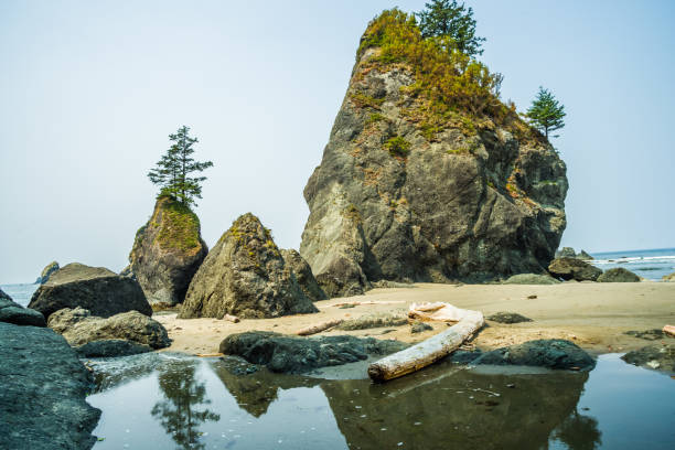 istock Olympic National Park - Shi Shi Beach 1033197680