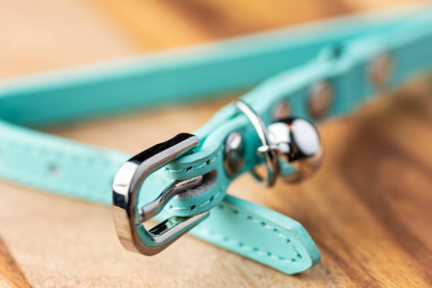 Cat Collar A light blue cat collar with chrome fastener and bell on a wooden surface. leather clasp stock pictures, royalty-free photos & images