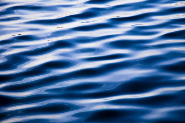 istock Detail of sea water surface 1033205424