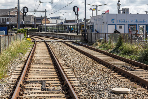 train tracks leading to train station Hoek van Holland, the Netherlands - July 31, 2016: train tracks leading to Hoek van Holland train station tasrail stock pictures, royalty-free photos & images