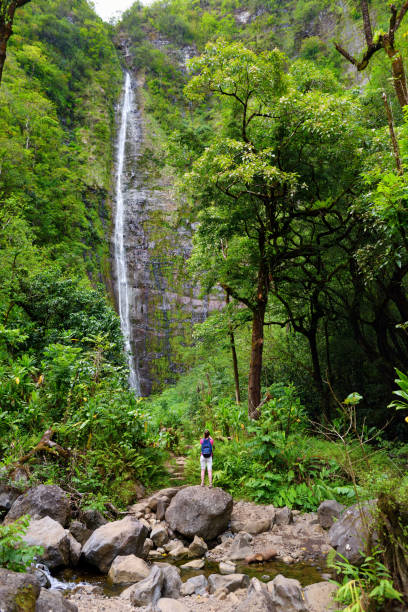 jeune femme touriste randonnée jusqu’aux célèbres chutes de waimoku à la tête de la piste de pipiwai, au-dessus des sept piscines sacré sur la route de hana. maui, hawaii - hawaii islands maui hana road photos et images de collection
