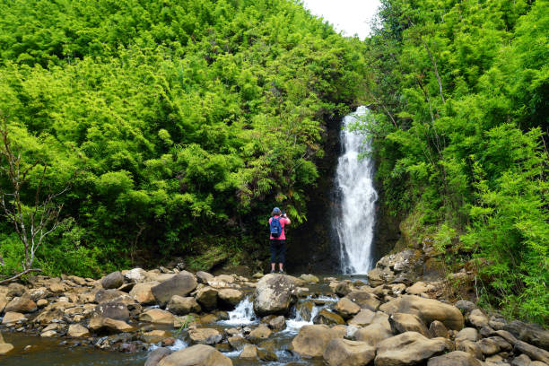 ハワイ マウイ島ハナへ有名な道路沿いにある滝の美しい景色 - waterfall maui hawaii islands hana ストックフォトと画像