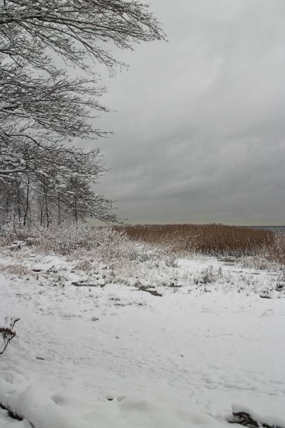 istock lake shore winter landscape 1033208950